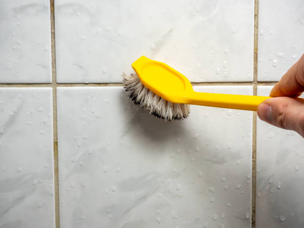Best Attic Mold Removal  in West Lafayette, OH