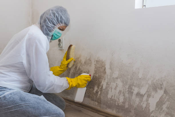 Best Crawl Space Mold Removal  in West Lafayette, OH