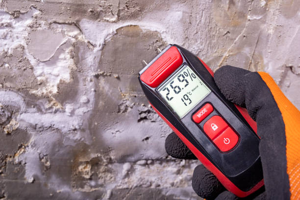 Best Mold Testing  in West Lafayette, OH